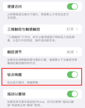 株洲苹果授权维修站分享iPhone轻点无法唤醒怎么办