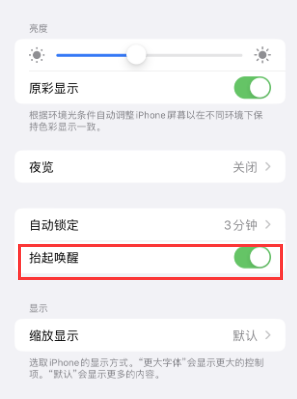 株洲苹果授权维修站分享iPhone轻点无法唤醒怎么办