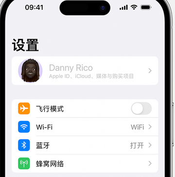 株洲appleID维修服务iPhone设置中Apple ID显示为灰色无法使用 