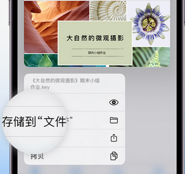 株洲apple维修中心分享iPhone文件应用中存储和找到下载文件