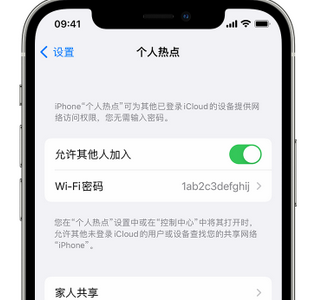 株洲apple服务站点分享iPhone上个人热点丢失了怎么办 