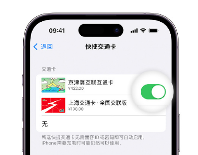 株洲apple维修点分享iPhone上更换Apple Pay快捷交通卡手绘卡面 