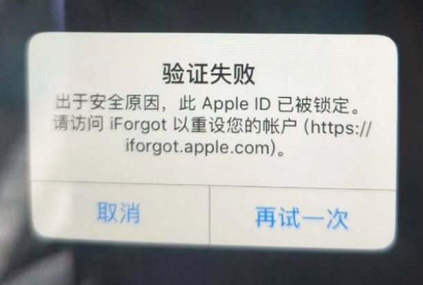 株洲iPhone维修分享iPhone上正常登录或使用AppleID怎么办 