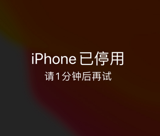 株洲苹果手机维修分享:iPhone 显示“不可用”或“已停用”怎么办？还能保留数据吗？ 