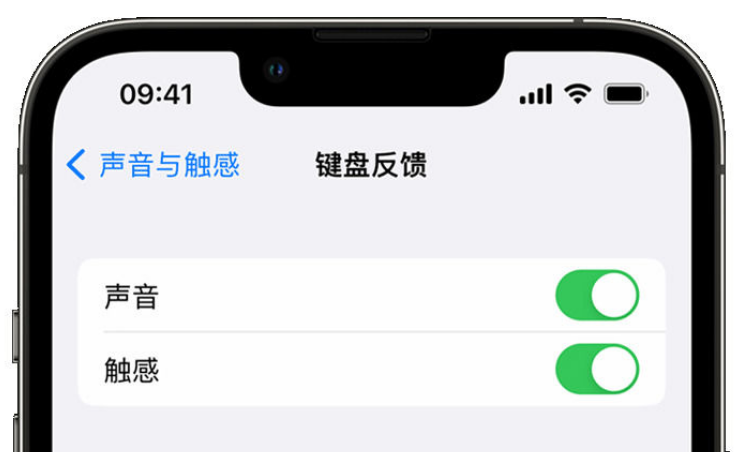 株洲苹果手机维修分享iPhone 14触感键盘使用方法 