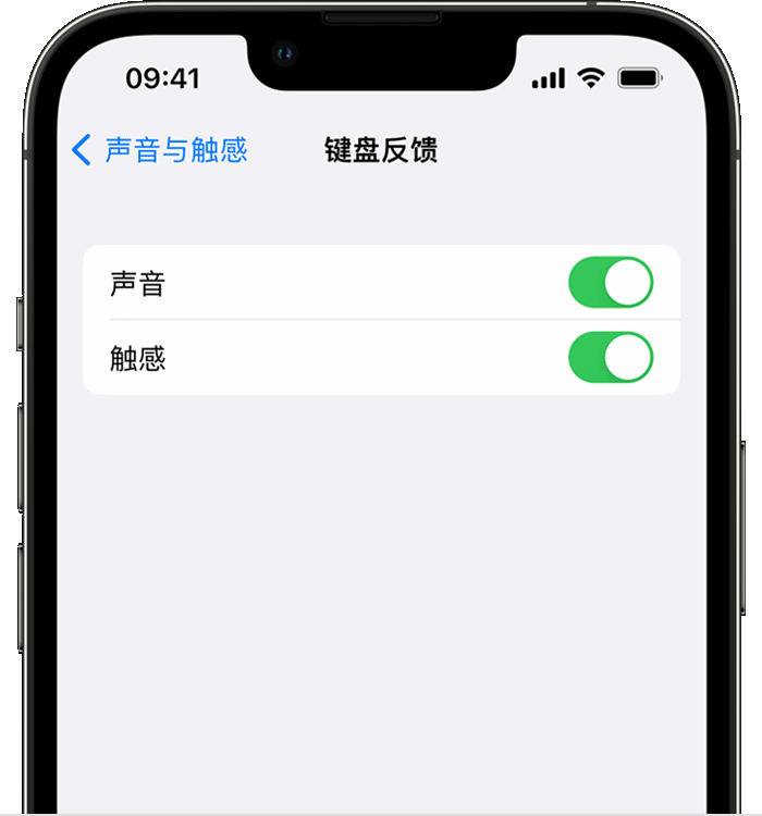 株洲苹果14维修店分享如何在 iPhone 14 机型中使用触感键盘 