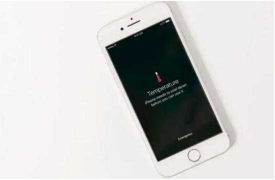 株洲苹果手机维修分享iPhone 手机发热如何快速降温 
