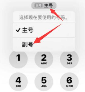 株洲苹果14维修店分享iPhone 14 Pro Max使用副卡打电话的方法 