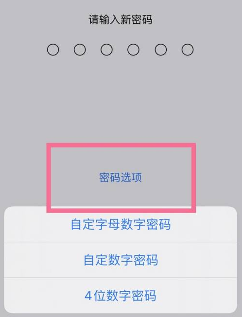 株洲苹果14维修分享iPhone 14plus设置密码的方法 