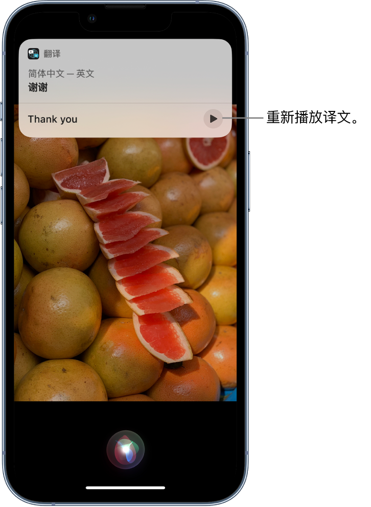 株洲苹果14维修分享 iPhone 14 机型中使用 Siri：了解 Siri 能帮你做什么 