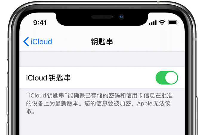 株洲苹果手机维修分享在 iPhone 上开启 iCloud 钥匙串之后会储存哪些信息 