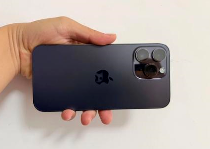 株洲苹果维修点分享iPhone 14 Pro Max黑屏少见故障盘点 